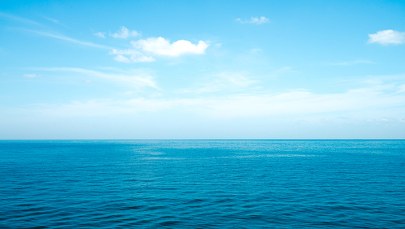 Cząstki farb w oceanach. Są zjadane przez morskie organizmy