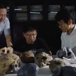 Czaszka, która ma milion lat. Ewolucja człowieka zaczęła się w Azji?