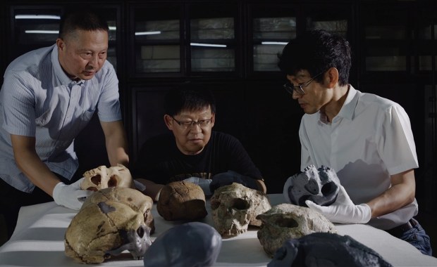 Czaszka, która ma milion lat. Ewolucja człowieka zaczęła się w Azji?