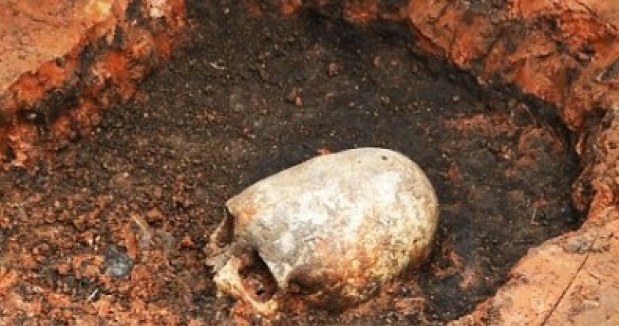Czaszka odnaleziona na stanowisku archeologicznym Arkaim /Innemedium.pl