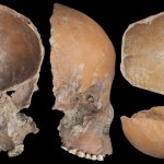 przodkowie człowieka Czaszki sprzed 5 tys. lat przerobione na naczynia. Tajemnica kultury Liangzhu