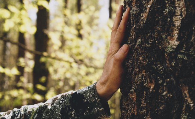 Czechy: Matka koczowała w lesie z 3-miesięcznym dzieckiem