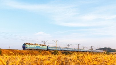 Czechy nie dołączą do embarga na ukraińskie zboże