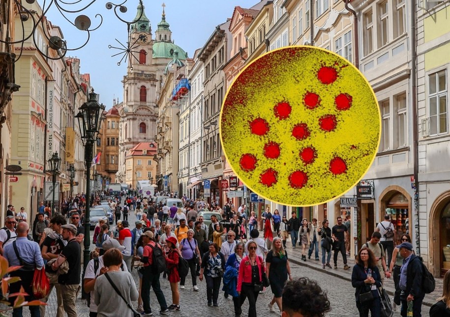 Czechy zmagają się z zakażeniami żółtaczki, fot. EastNews /Shutterstock