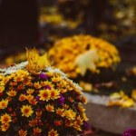 Czego nie robić w Zaduszki? Poznaj przesądy naszych przodków