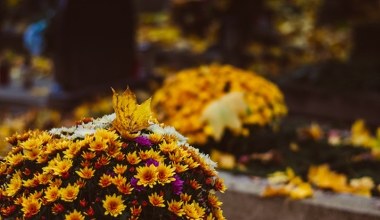 Czego nie robić w Zaduszki? Poznaj przesądy naszych przodków