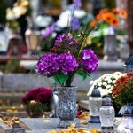 Czego nie wolno robić na cmentarzu? Cztery największe gafy