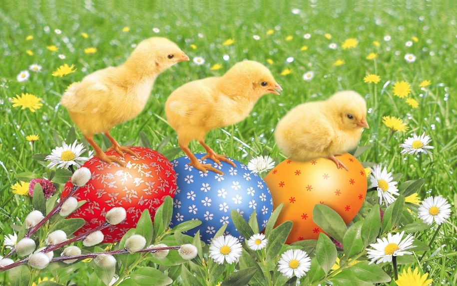 Czego życzyć bliskim na Święta Wielkanocne? Autor:Jan Włodarczyk