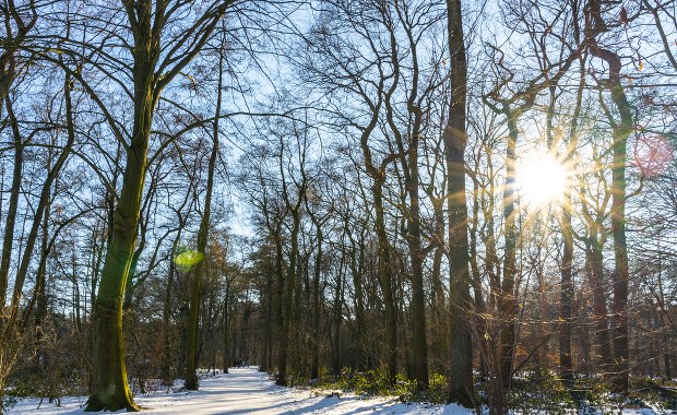 Czeka nas ciepła niedziela. Opady na południu