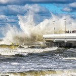 Czeka nas fala wichur. Porywy wiatru osiągną nawet 120 km/h