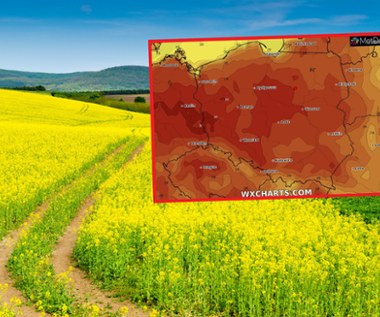 Czeka nas letnia duchota? Wiele alertów pogodowych