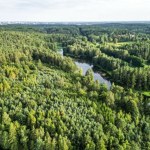 Czeka nas nowy konflikt z Brukselą? Polsce grożą kary za przepisy o lasach