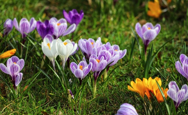 Czeka nas pogodowa karuzela. Winna Manuela 