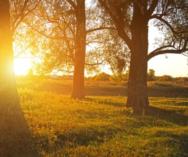 Czeka nas późne babie lato. Temperatura wyjątkowo zaskoczy