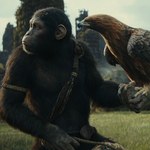 Czekacie na nową "Planetę Małp"? Gdzie obejrzeć wcześniejsze filmy z serii?