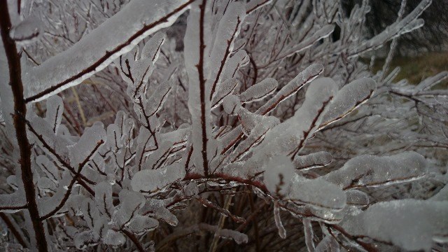 Czekają nas zimne i mroźne dni /Michał Dukaczewski, RMF FM /RMF FM