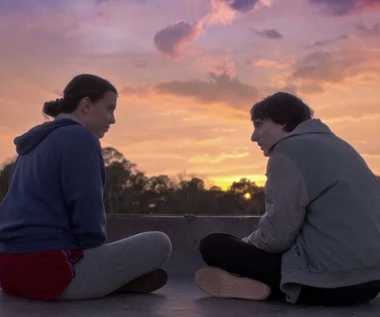 Czekaliśmy na to długie lata. Jest wielki finał kultowego serialu Netfliksa