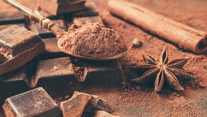 Czekolada może być "eliksirem młodości". Decydujący jest jeden składnik
