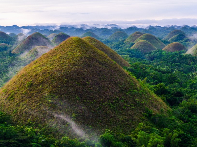 Czekoladowe Wzgórza na wyspie Bohol, Filipiny /Patrycja Klimczak  /INTERIA.PL