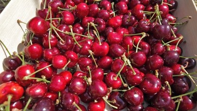 Czereśnie już w sprzedaży, ale ceny odstraszają. Nawet 100 zł za kilogram