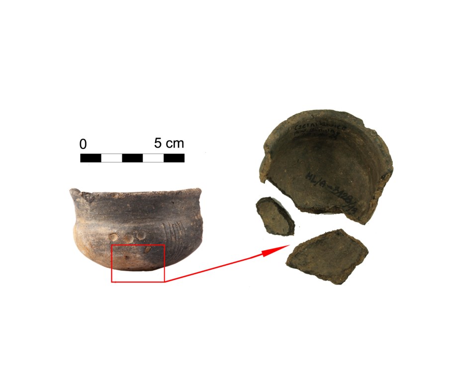 Czerpak ze śladami sporyszu /foto. Muzeum Miedzi w Legnicy /