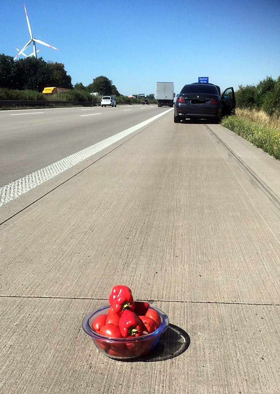 Czerwona papryka zamiast trójkąta ostrzegawczego na niemieckiej autostradzie A2 /SAXONY-ANHALT POLICE /PAP/EPA