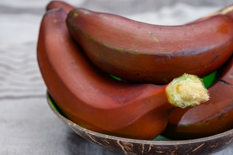 Czerwone banany są źródłem potasu, magnezu, a także błonnika pokarmowego /123RF/PICSEL