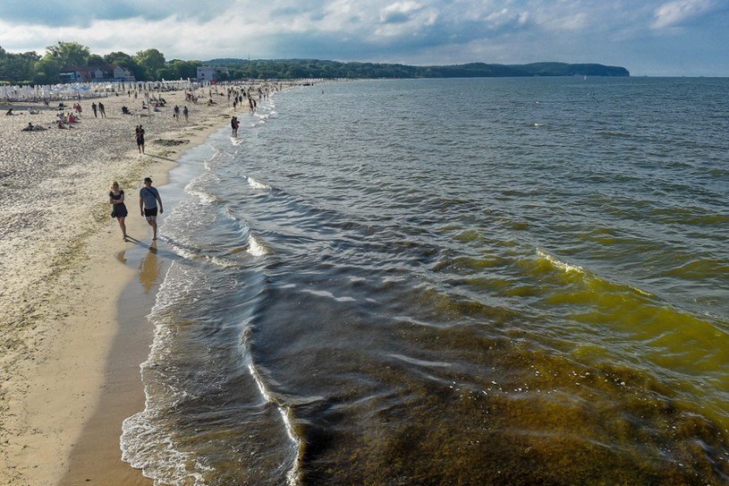 Czerwone flagi na kąpieliskach. Służby wykryły poważne zagrożenie 