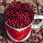 Czerwone jagody to niedoceniany polski superfood. Chronią serce, wzrok, pomagają podczas odchudzania