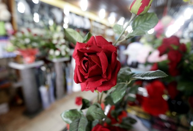 Czerwone róże to jedne z najczęściej wybieranych kwiatów w Walentynki. /LEGNAN KOULA /PAP/EPA