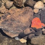 Czerwone serce wśród kamieni. W Bieszczadach odkryto rzadki minerał