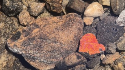 Czerwone serce wśród kamieni. W Bieszczadach odkryto rzadki minerał
