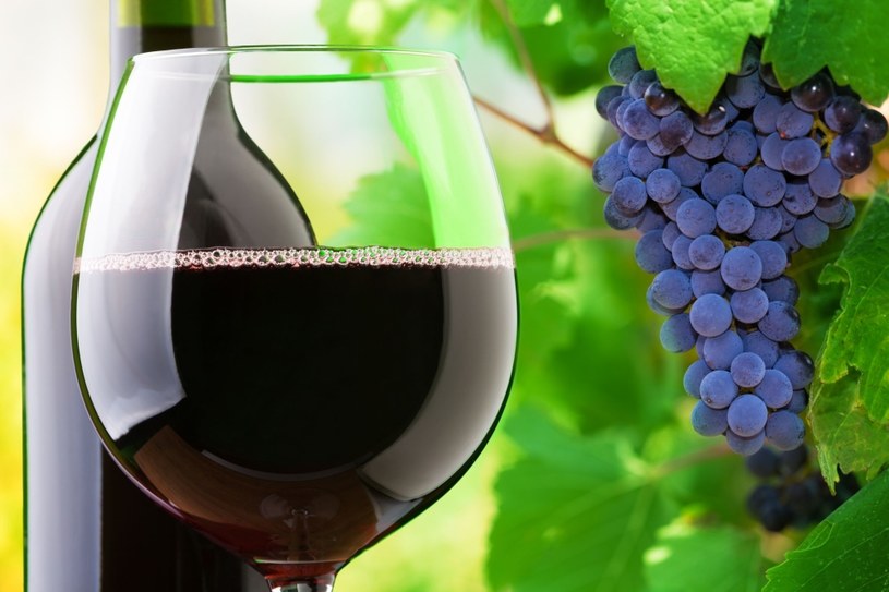 Czerwone wino poprawia funkcje serca i wydolność organizmu /123RF/PICSEL