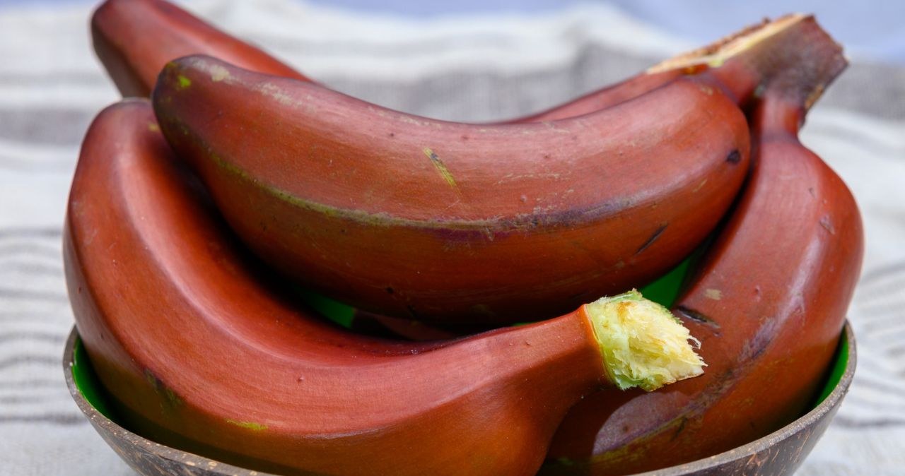 Czerwony banan smakuje podobnie do mango i maliny /barmalini /123RF/PICSEL