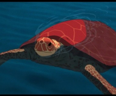 "Czerwony żółw" [trailer]