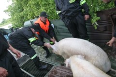 Część mieszkańców Wilkowa nadal nie chce opuszczać domów