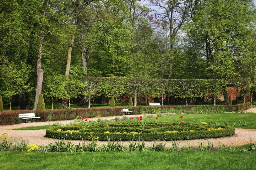 Część ogrodowa za pałacem składała się z salonu ogrodowego, otoczonego aleją drzew /123RF/PICSEL