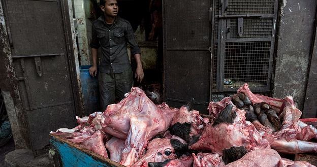 Część skonfiskowanego mięsa, wyceniono na 480 mln USD /AFP