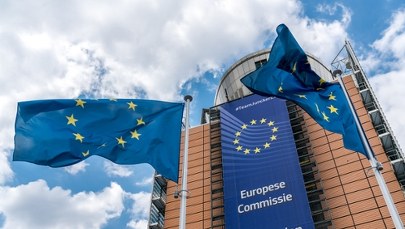 ​Część wołowiny z Mercosur od jutra bez cła. KE potwierdza doniesienia RMF FM