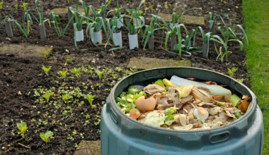 Część zjedz na obiad, a resztę wrzuć do kompostownika. Efekt cię zaskoczy