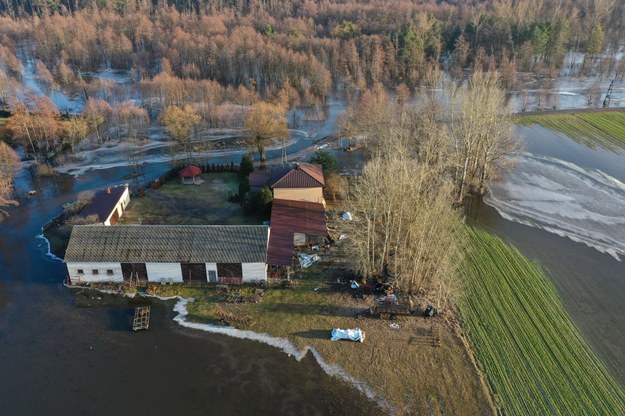 Częściowe zalanie wsi Młynarze / 	Leszek Szymański    /PAP