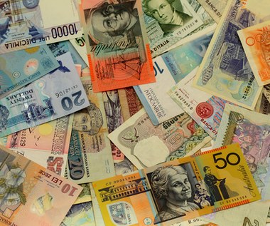 Czesi  i Węgrzy będą wspierać własne waluty 