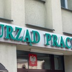Czesi szukają do pracy Polaków przez urząd pracy. Oto ile płacą 