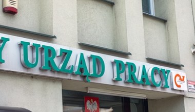 Czesi szukają do pracy Polaków przez urząd pracy. Oto ile płacą 