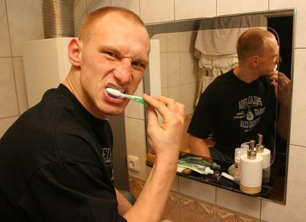Czesi to najzagorzalsi czyściciele zębów, Polacy w środku stawki. Nz bokser "Diablo"/fot. M. Grzelak /Agencja SE/East News