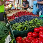 Czesi wypytują o "królową" polskich plantacji. "Czy już są na targach?"