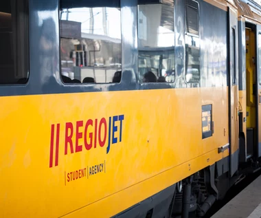 Czeski przewoźnik rekrutuje w Polsce. Płaci nawet 14 tys. zł