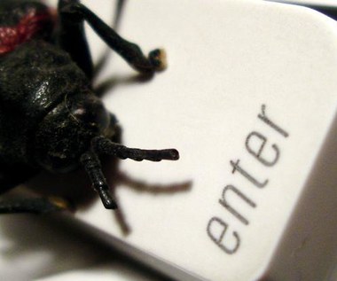 Czeski robak czyha na dane internautów