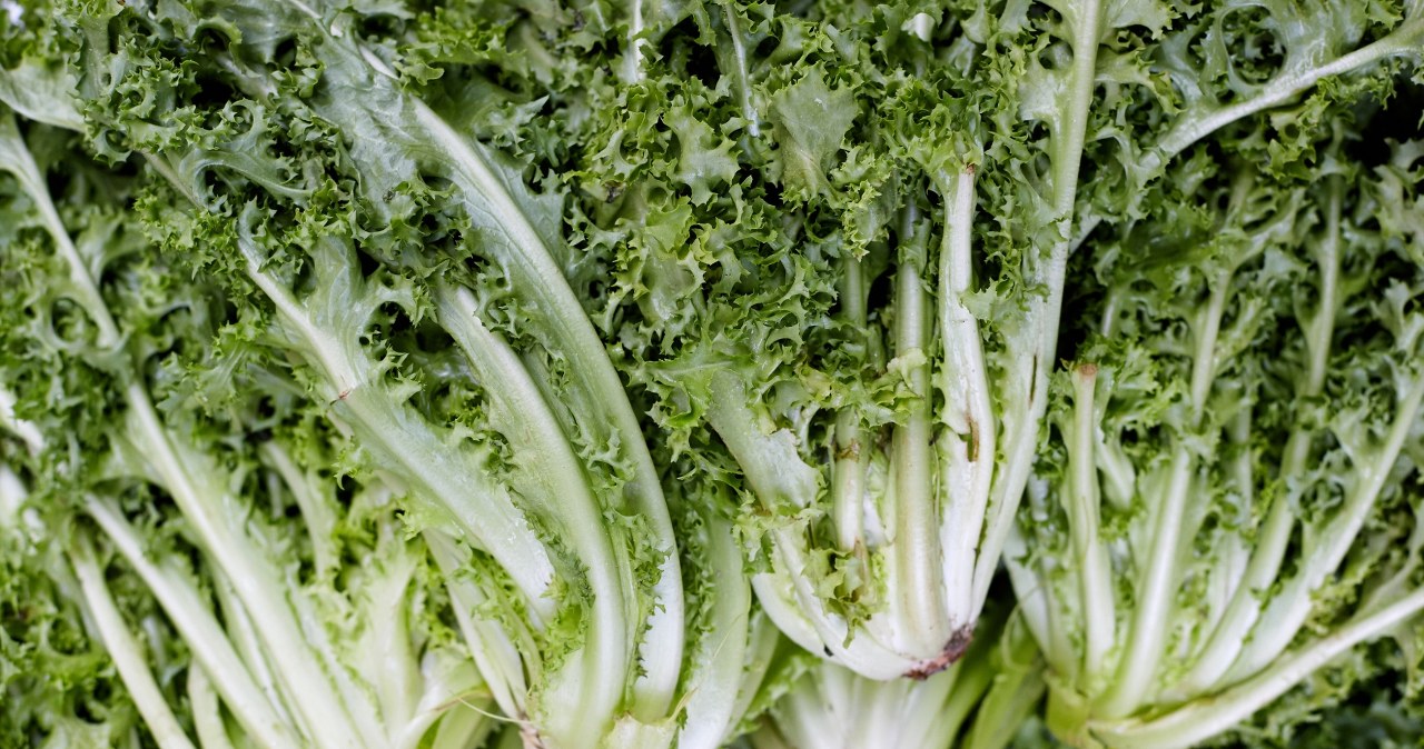 Często mylona z rukolą i sałatą lodową. Jest cennym źródłem związków mineralnych i witamin, ale wciąż mało kto po nią sięga /123RF/PICSEL