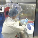 Członek misji WHO w Wuhanie: Nie ma dowodów, że koronawirus pochodzi z laboratorium